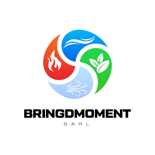 Logo Bringdmoment